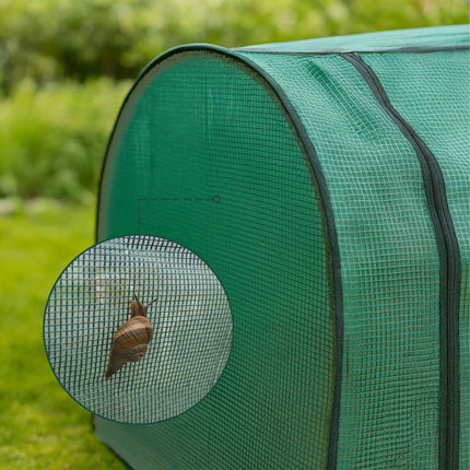 Cold Frame Greenhouse with PE Film and Roll-Up Door
