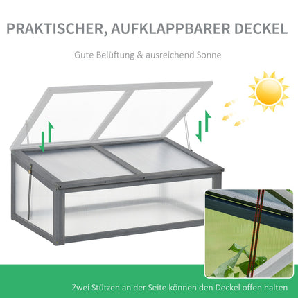 Mini greenhouse with UV protection, Winterproof, 100x65x40 cm