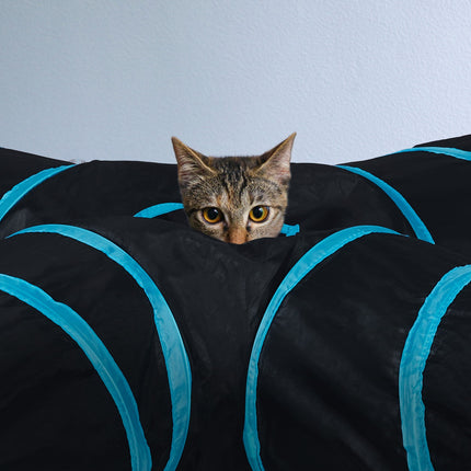 Collapsible cat tunnel with 4 aisles