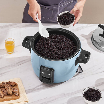 Commercial Rice Cooker 50-Cup, 10L, 24-Hour Keep Warm
