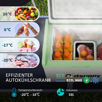 Portable compressor cooler 16L, Dual Voltage, -20°C