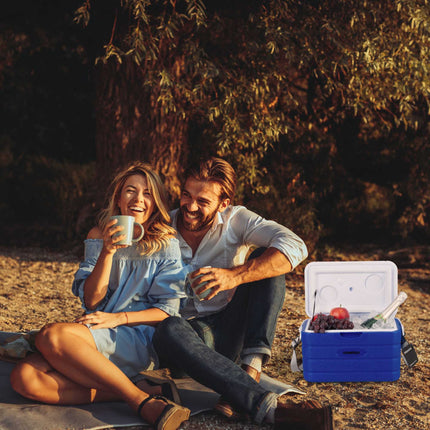 Cool box 10 l with carrying strap