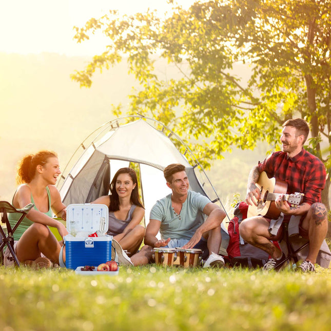 Koelbox klein 8 liter