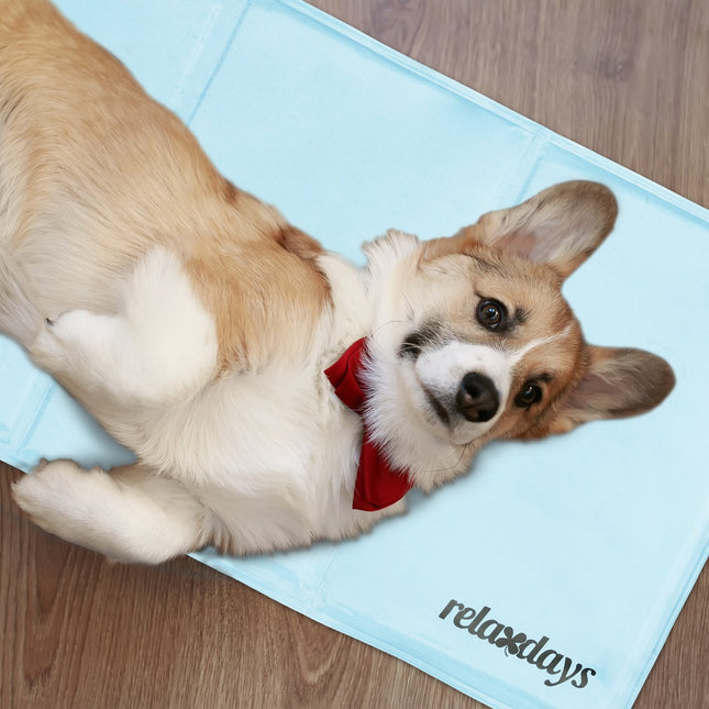 Koelmat voor honden