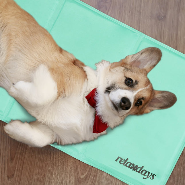 Koelmat voor honden