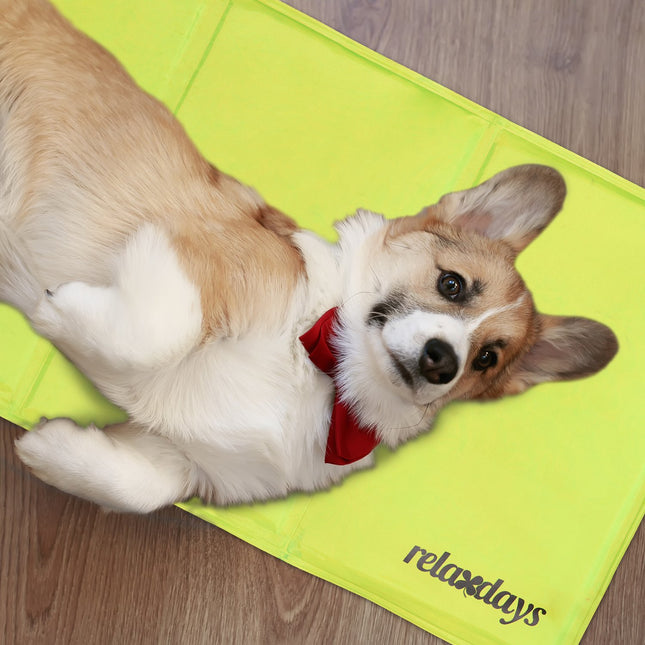 Koelmat voor honden