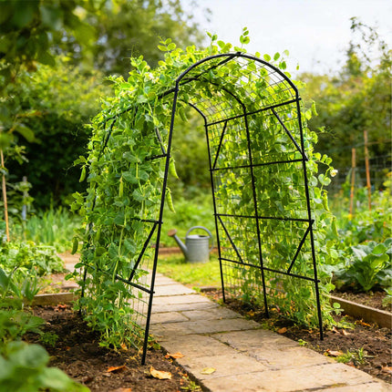 Cucumber Trellis Arch with Net, 230x140x198 cm