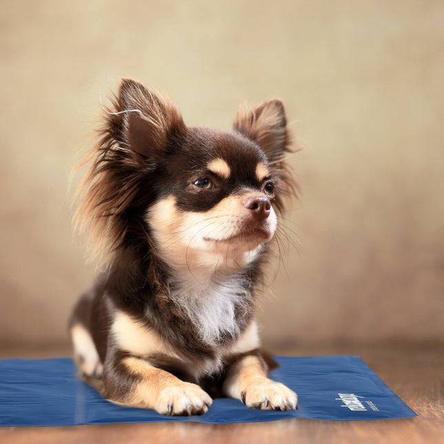 Donkerblauwe koelmat voor honden