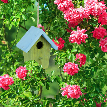 Deco birdhouse