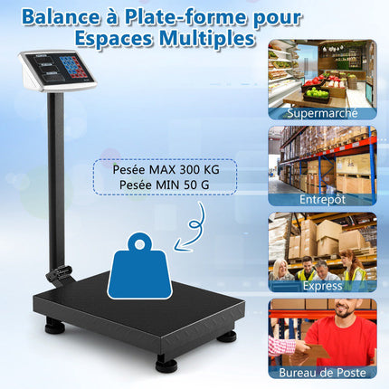 Digital Platform Scale 300 kg, 0.05 kg, Price Calculator