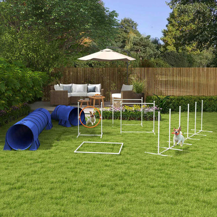 Dog Agility Set with adjustable obstacles and tunnel