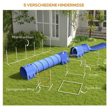 Dog Agility Set with adjustable obstacles and tunnel