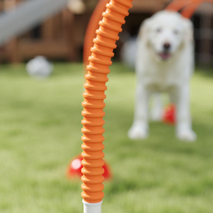 Dog Agility Training Set with 4 Adjustable Gates, Portable Bag