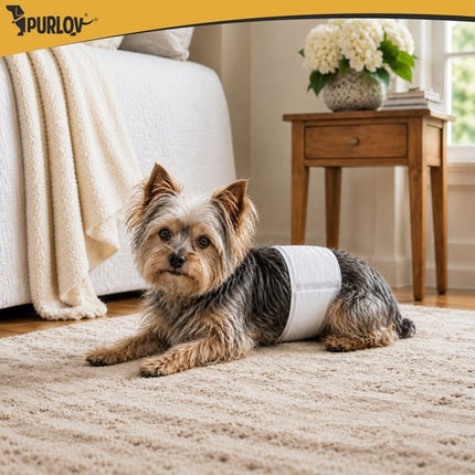 Dog Diapers SM, Absorbent, 12 Pack, 30-46 cm