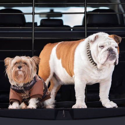 Dog Guard Car