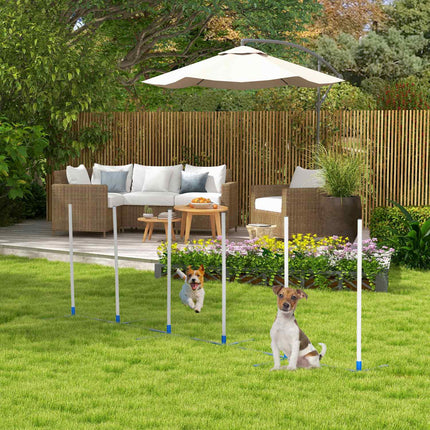 Dog training slalom poles Set with carrying bag, 305x60x94 cm