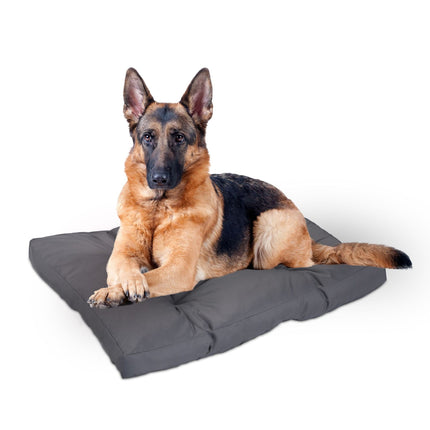 Dog bed gray