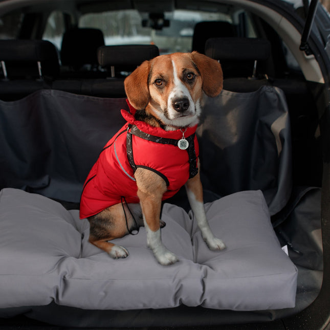 Dog bed gray