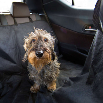 Dog blanket car