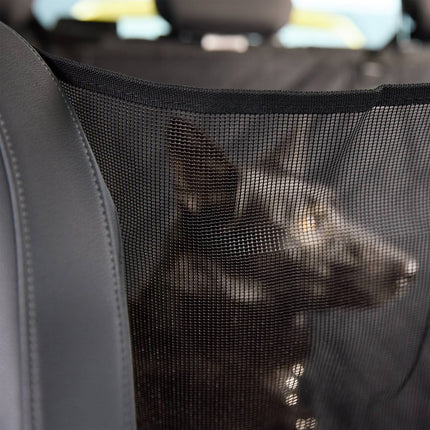 Dog blanket the back seat in the car