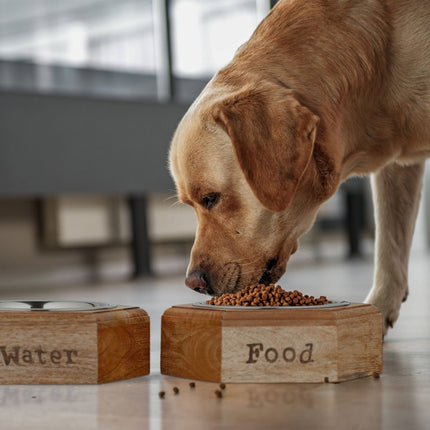 Dog bowl set with wooden holder