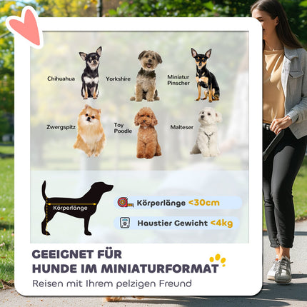 Collapsible pet carriage with mesh window and storage