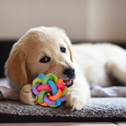 Dog toy ball with bell set of 3