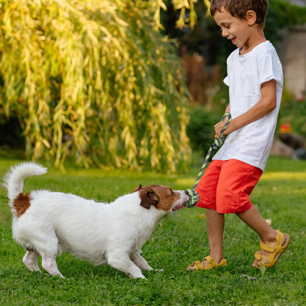Dog toy set 5 parts