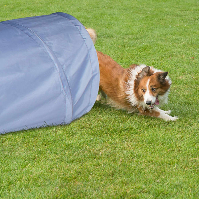 Dog tunnel agility 2m