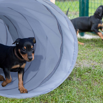 Dog tunnel agility 3m