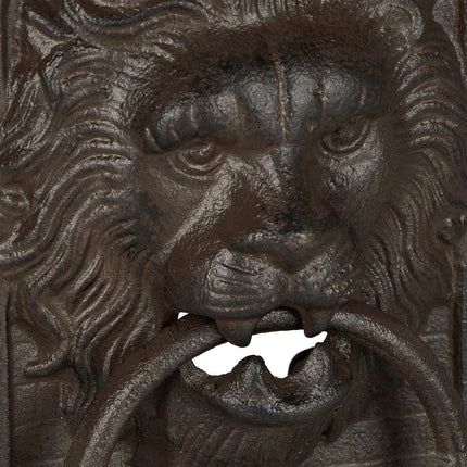 Door knocker lion