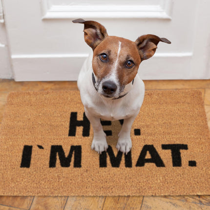 Doormat coconut fiber "Hey. I'm Food”