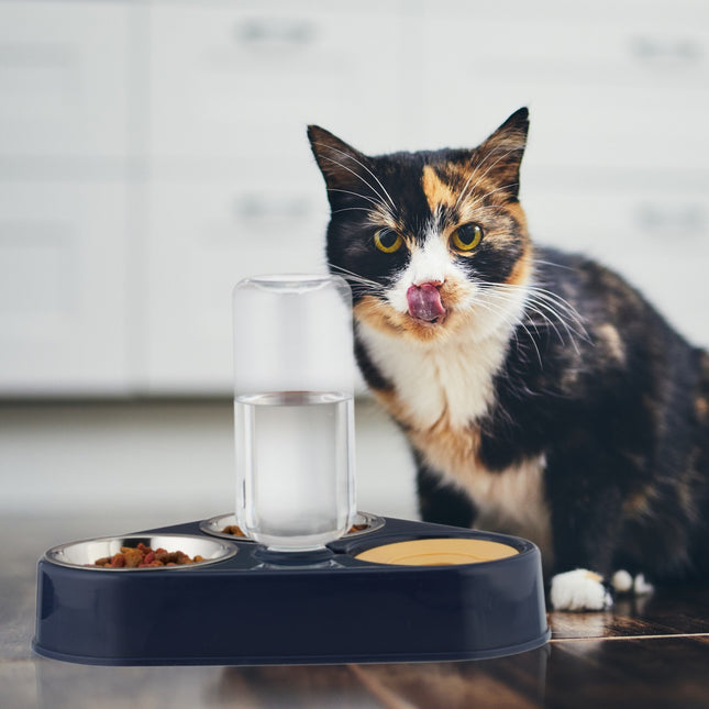 Double Bowl Pet Feeder with Water Dispenser