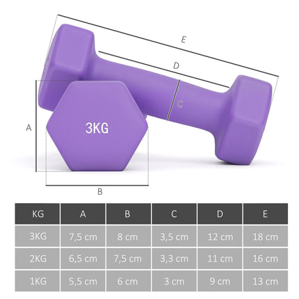 Dumbbell Set with Rack, 6 Weights: 1kg, 2kg, 3kg