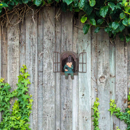 Dwarf with window