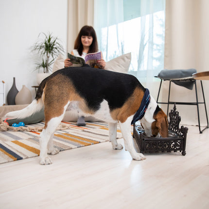 Edible cast iron for dogs