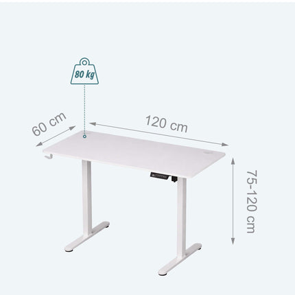 Electric Sit-Stand Desk – Wood-Effect Top, Memory Presets