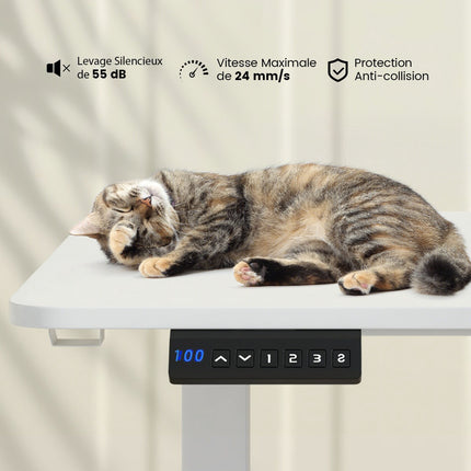 Electric Standing Desk 140 x 60 cm, Height Adjustable, White