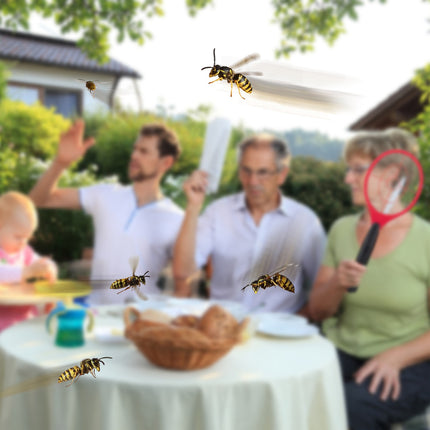 Electric fly swatter