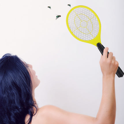 Electric fly swatter