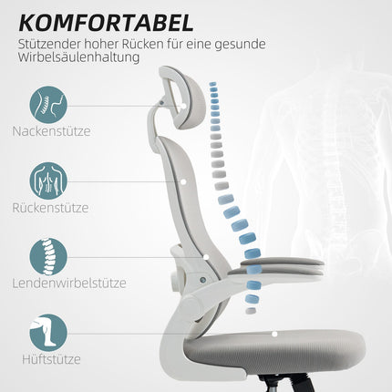 Ergonomic Office Chair, Mesh Back, Adjustable, Gray