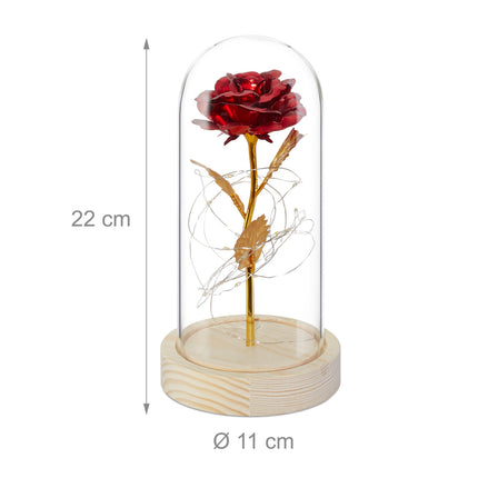 Eternal rose in a glass