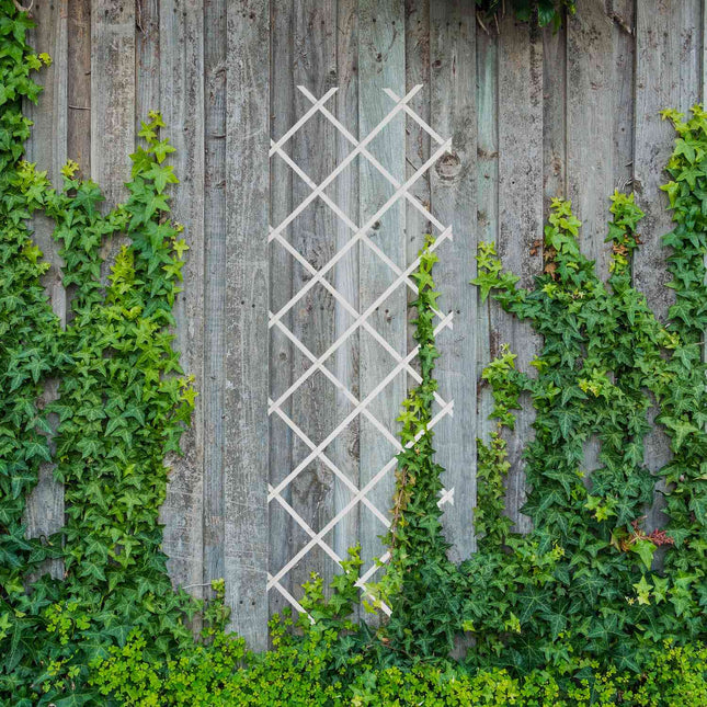 Uitschuifbare plantenrekset, 180x60 cm, 3-pack
