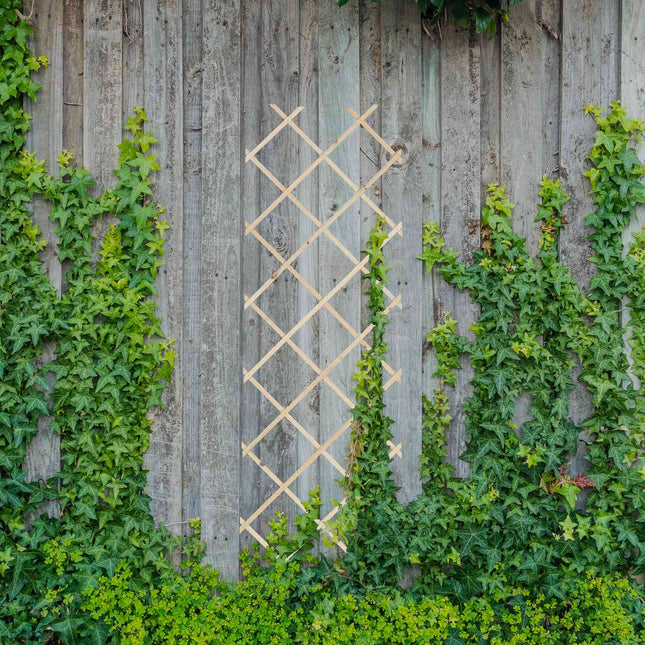 Uitschuifbare plantenrekset, 180x60 cm, 3-pack