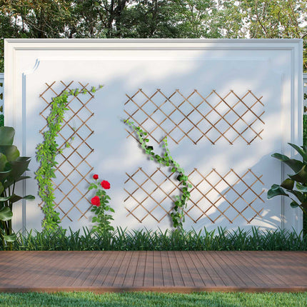 Extendable Plant Trellis Set, 180x90 cm, 3 Pack