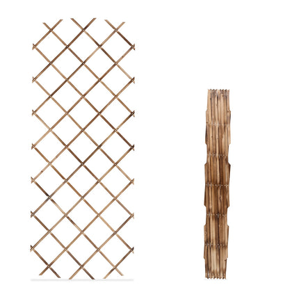 Extendable Plant Trellis Set, 180x90 cm, 3 Pack