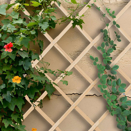 Extendable Plant Trellis Set, 180x90 cm, Wall-Mounted