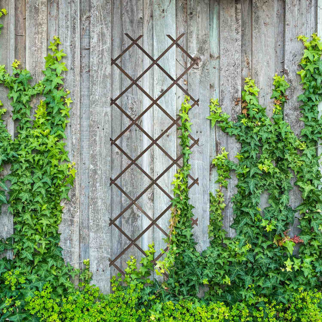 Uitschuifbare plantenrekset, 3-pack, 180x60 cm