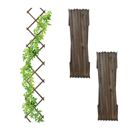 Extendable Plant Trellis Set for Climbing Plants