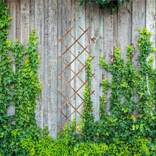 Uitschuifbare wandplantenrekset van 3, 180x60 cm
